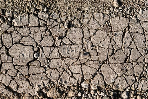 不使用測(cè)土儀？如何辨別土壤肥瘦？